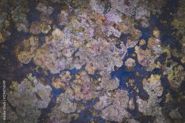 Obraz aerial view