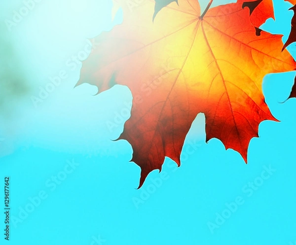 Obraz autumn