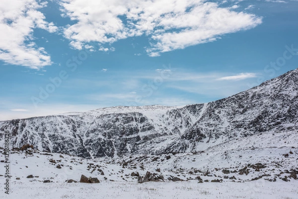 Fototapeta Cold snowy alpine landscape with last year's grass, sharp rocks and stones in white snow against snow-covered rocky mountain range under clouds in blue sky. High snow-white mountains in sunny day.