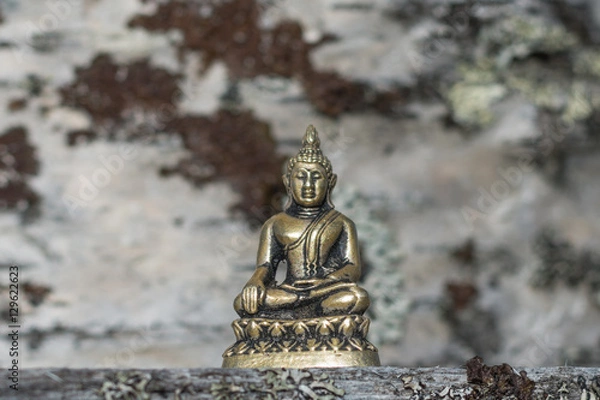 Fototapeta small buddha statue in the forest