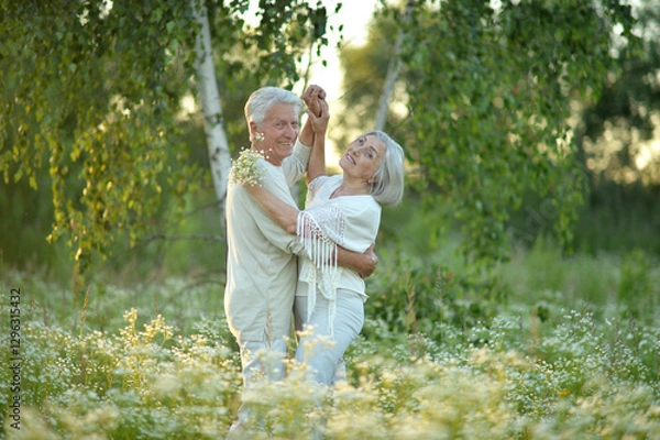 Fototapeta Beautiful elderly couple dancing in the park