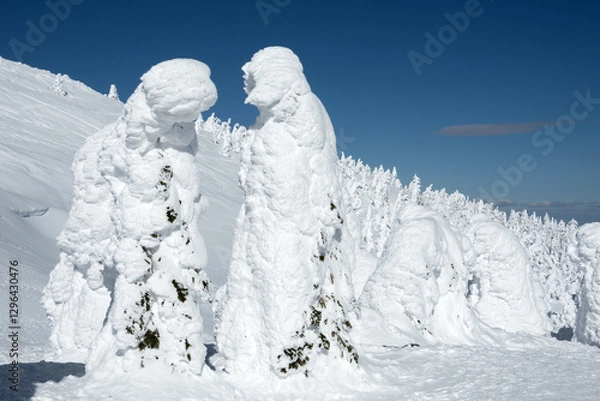 Fototapeta 蔵王の樹氷