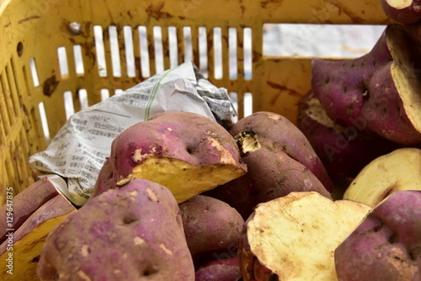 Obraz 沢山の薩摩芋