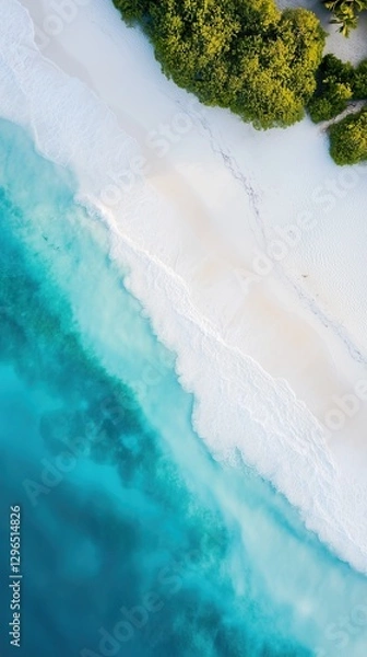 Obraz Aerial view of tropical beach with white sand, turquoise water, and lush green coastal forest