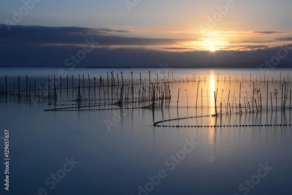 Fototapeta Albufera