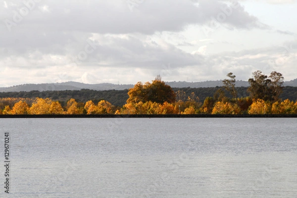 Obraz Contrastes naturales