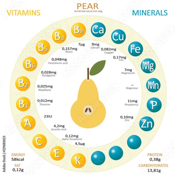 Obraz Infographics about nutrients in pear