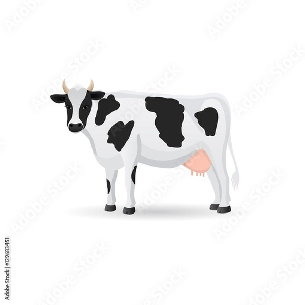 Fototapeta Cow isolated on a white background. Vector flat ilustration