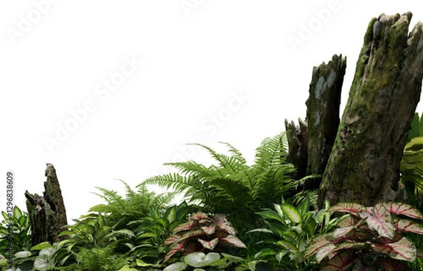 Obraz 3D render tropical plant foreground on transparent background