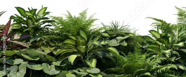 Obraz 3D render tropical plant foreground on transparent background