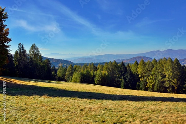 Obraz Autumn view in Beskidy mountains, Poland