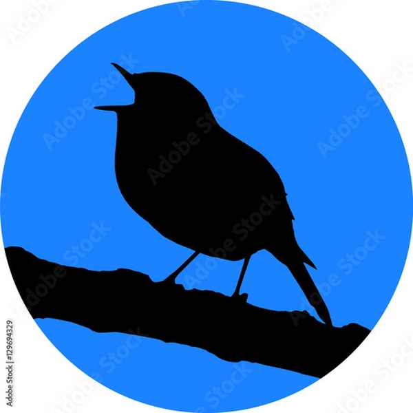 Fototapeta Singing bird