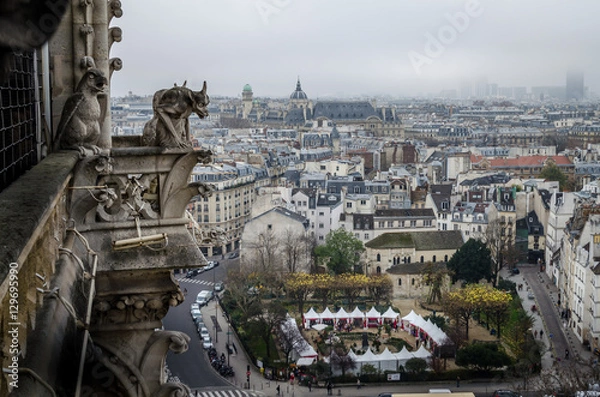 Obraz Notre Dame gargoyle