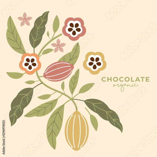 Fototapeta Cocoa bean illustration. Vintage style design template. chocolate cocoa beans. Vector illustration