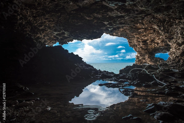 Obraz animal flower cave