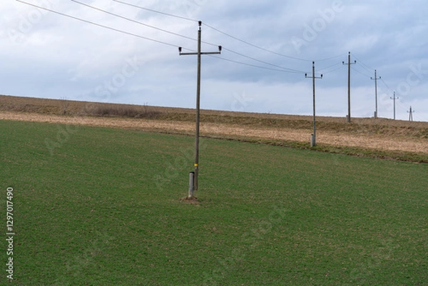 Fototapeta Freileitung auf Acker