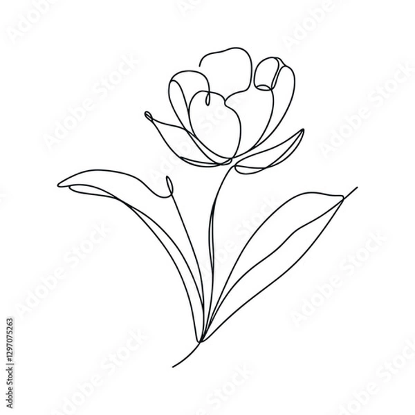 Fototapeta Tulip one line drawing.Abstract flower continuous line. Minimalist contour drawing of tulip. Continuous line drawing of flower tulip.Hand drawn sketch of flower with leaves