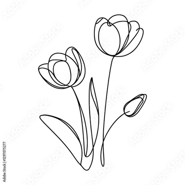 Fototapeta Tulip one line drawing.Abstract flower continuous line. Minimalist contour drawing of tulip. Continuous line drawing of flower tulip.Hand drawn sketch of flower with leaves