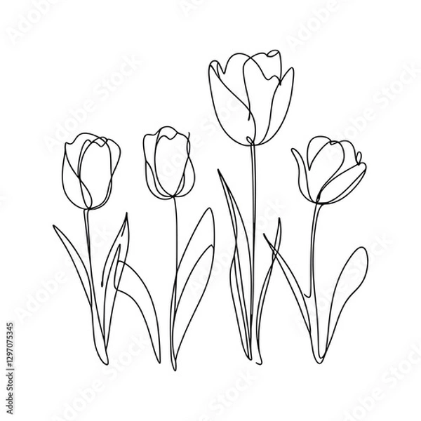 Fototapeta Tulip one line drawing.Abstract flower continuous line. Minimalist contour drawing of tulip. Continuous line drawing of flower tulip.Hand drawn sketch of flower with leaves