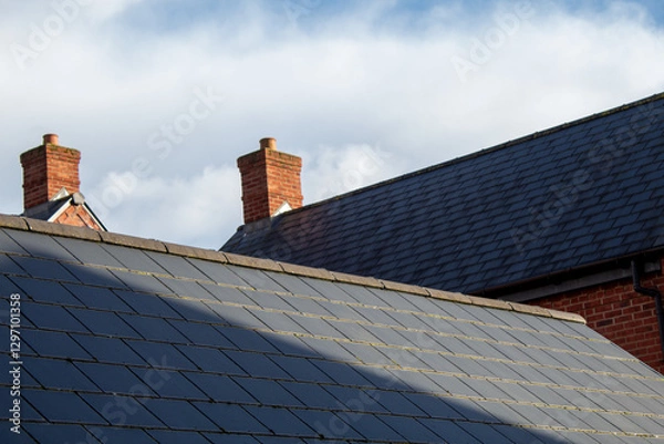 Obraz roof and chimney against the sky