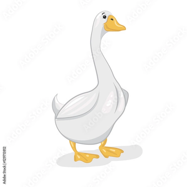 Obraz white goose 