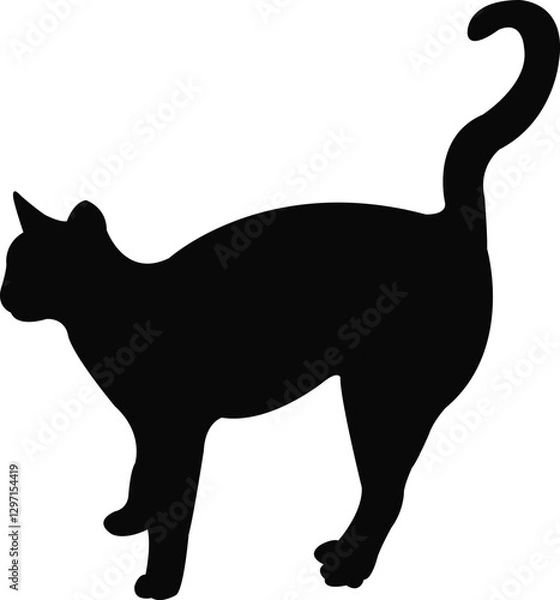 Fototapeta Wea cat body silhouette vectorb