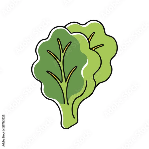 Fototapeta Fresh lettuce leaves cartoon icon, style with green vegetables illustration for farm produce, salad recipes and organic gardening