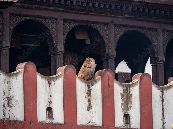 Obraz Viaje a la Nepal