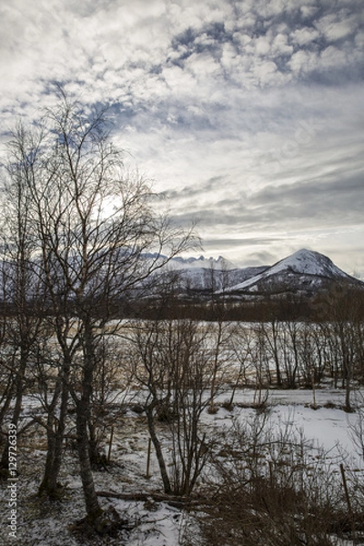 Fototapeta Norwegian landscape with snowy mountains in the winter, Nordland, Norway