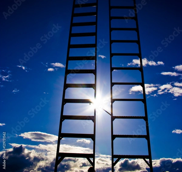 Obraz Ladder to Success