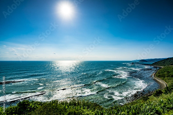 Obraz 日南海岸　鬼の洗濯岩