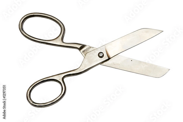 Obraz shears