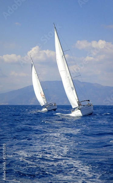 Obraz two race yacht