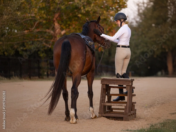 Obraz Horse Equestrian hunter jumper riding portrait tack English attire  mounting block