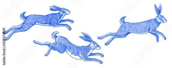 Fototapeta Hare or rabbit jumping. Wild animal running . Hand drawn or engraved sketch style traditional illustration, line work in ink for alcohol label