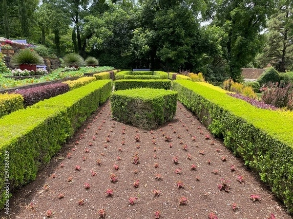 Fototapeta Symmetrical topiary garden. Rectangular and cubic shapes. Cube and rectangle shaped hedges made of green leaves, yellow flowers and purple flowers. Brown soil. Gramado, Brazil, Rio Grande do Sul 
