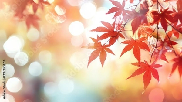 Fototapeta web banner design for autumn season and end year activity with red and yellow maple leaves with soft focus light and bokeh background