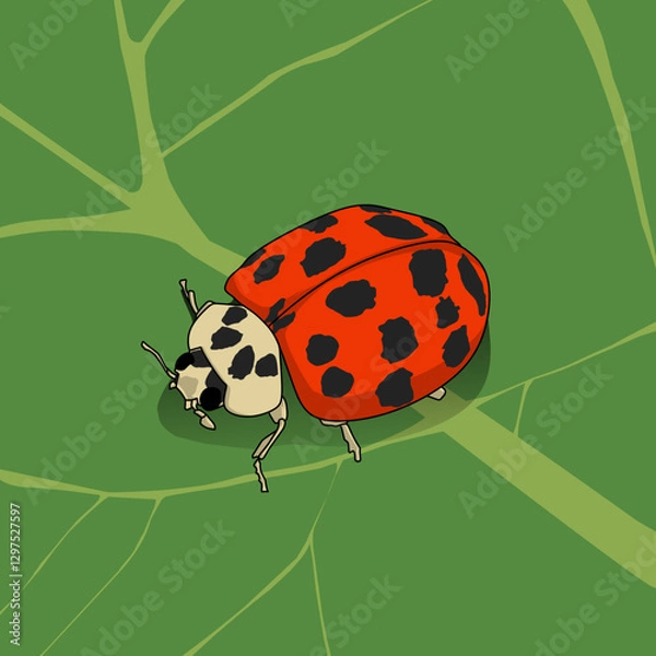 Obraz ladybug on green leaf