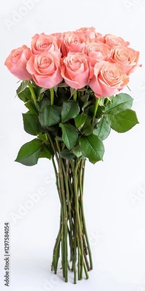 Fototapeta A bouquet of pale pink roses with lush green leaves, tightly bound stems, displayed against a bright white background. The image is clean and well