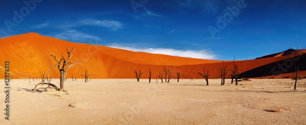 Obraz Pustynia Namib, Sossusvlei, Namibia