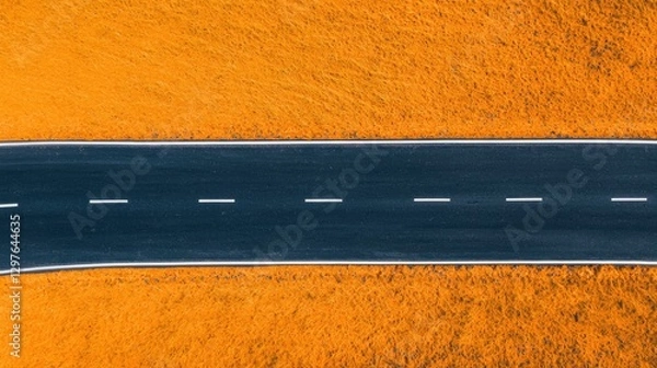 Fototapeta Aerial view of a winding road bordered by vibrant orange fields, showcasing a striking contrast between asphalt and nature's hues.