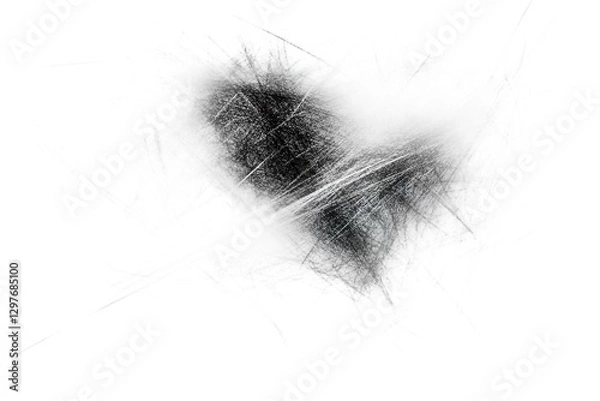 Obraz feather on white background
