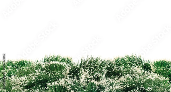 Fototapeta green christmas tree decoration over white background