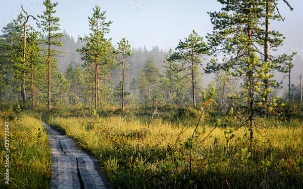 Fototapeta Hiking trail in foggy morning