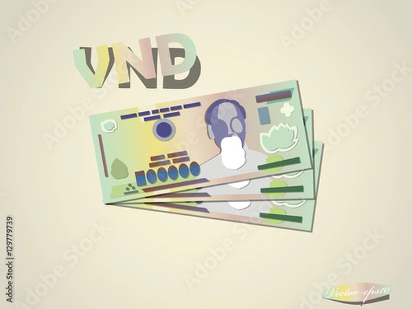 Fototapeta Vietnam dong money paper minimal vector graphic design
