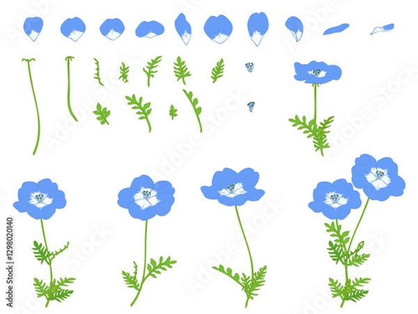 Obraz ネモフィラのセット