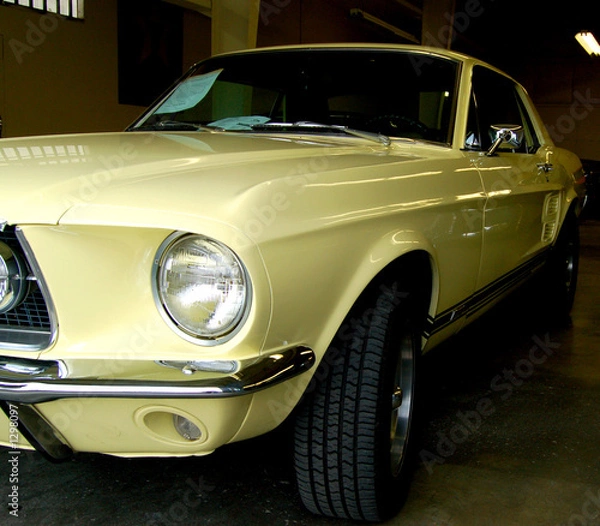 Obraz yellow mustang