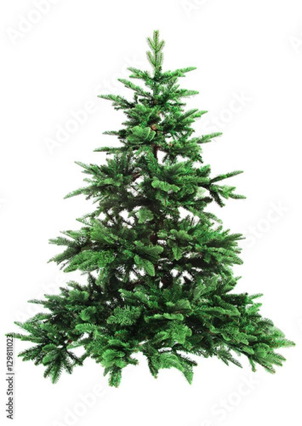 Obraz bare Christmas tree