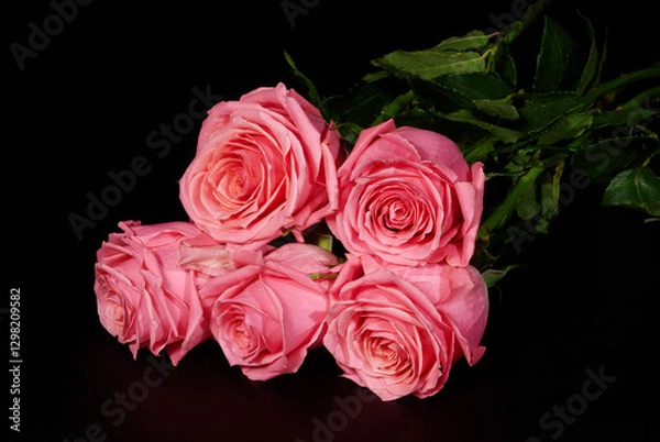 Obraz Five pink roses on black background, isolated