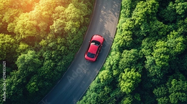 Fototapeta A car on an elevated road cutting through the dense, dark green forest. Serene journey, surrounded by nature.